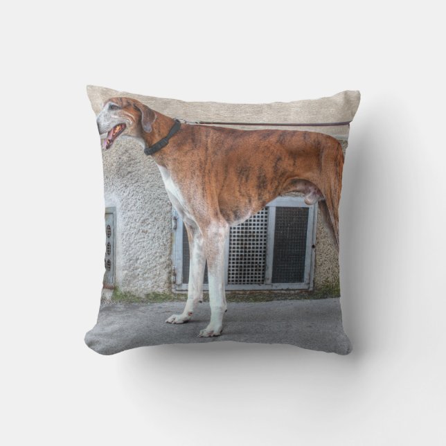 Elder Brindle Greyhound Cushion (Front)