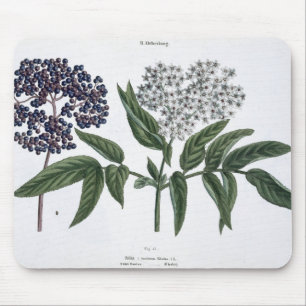 Elder, fig. 13 from 'The Young Landsman', publishe Mouse Pad