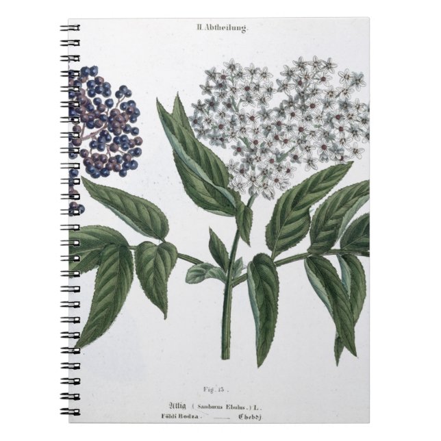 Elder, fig. 13 from 'The Young Landsman', publishe Notebook (Front)