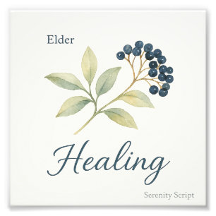 Elder — Healing Photo Print