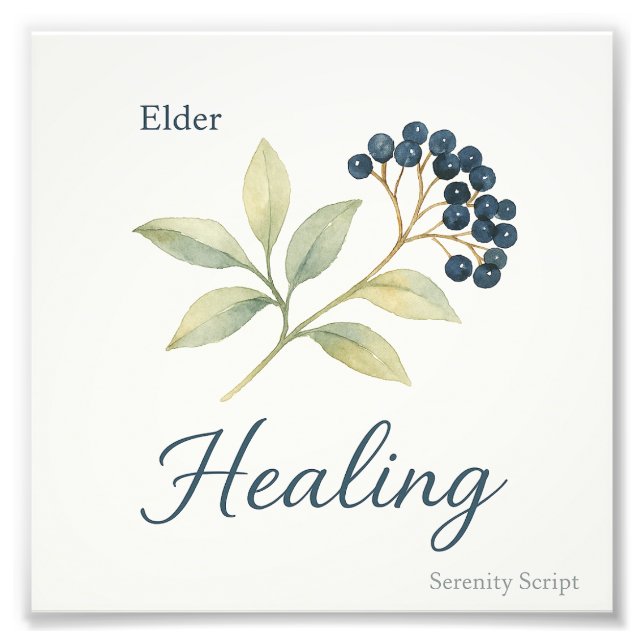 Elder — Healing Photo Print (Front)
