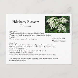 Elderberry Blossom Fritters Postcard