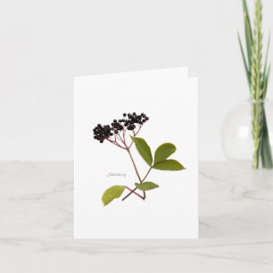 Elderberry Card