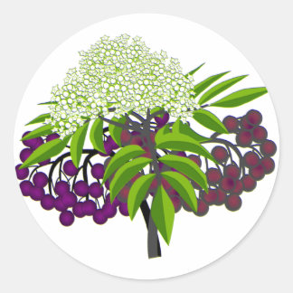 Elderberry Classic Round Sticker