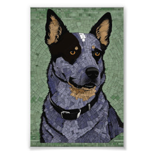Eleanor the Blue Heeler Photo Print