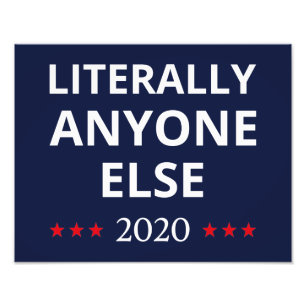 Election 2020, Anti-Trump - Anyone Else II Photo Print