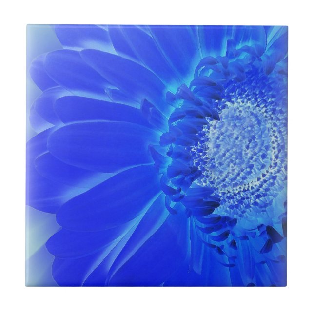electric blue gerbera ceramic tile (Front)