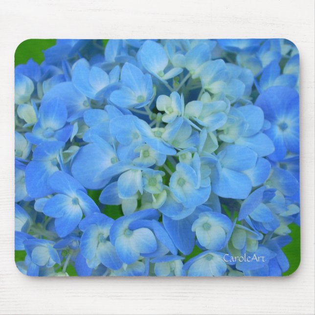 Electric Blue Hydrangeas Mouse Pad (Front)