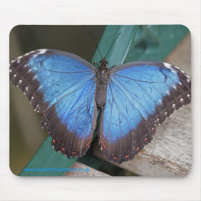 Electric Blue Mousemat (Front)