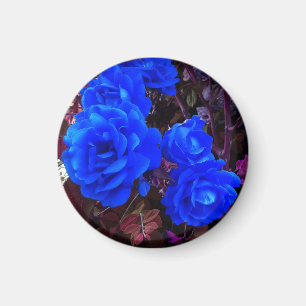 Electric blue Roses   Magnet