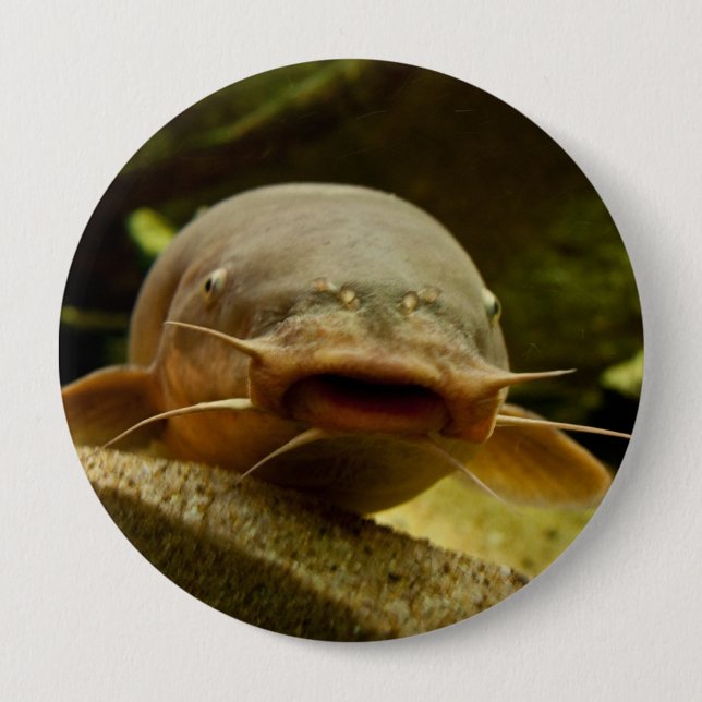 Electric catfish 10 cm round badge (Front)