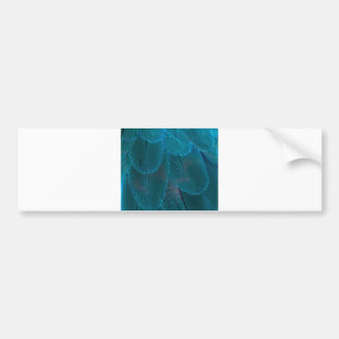 electric feathers bumper sticker