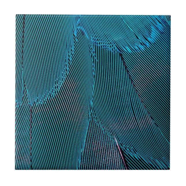 electric feathers ceramic tile (Front)