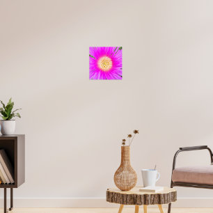 Electric Pink Mediterranean Ice Plant Poster