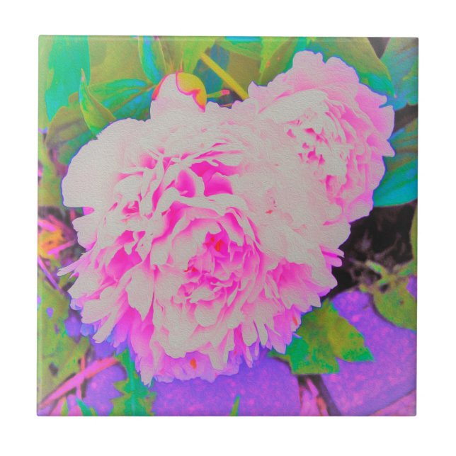 Electric Pink Peonies in the Colourful Garden Ceramic Tile (Front)