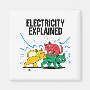 Electricity Explained Funny Cat Physics Humor Scie Magnet