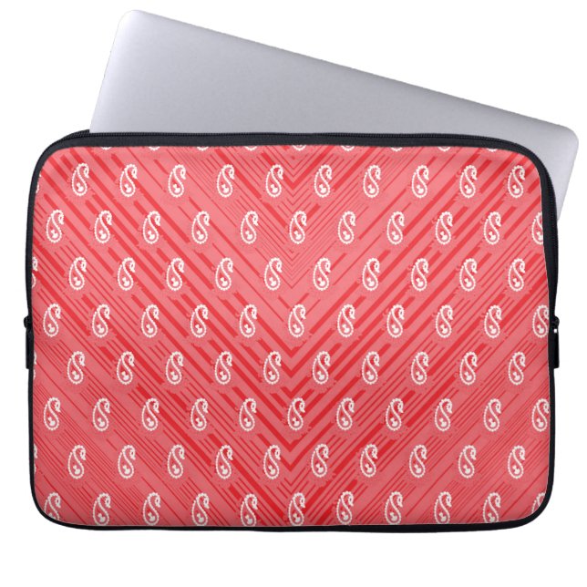 Electronics Bag (Front)