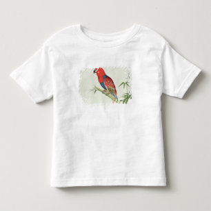 Electus Parrot, on a bamboo shoot Toddler T-Shirt