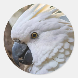 Elegance in White: The Majestic Aussie Cockatoo Classic Round Sticker