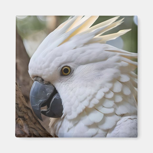 Elegance in White: The Majestic Aussie Cockatoo Magnet (Front)