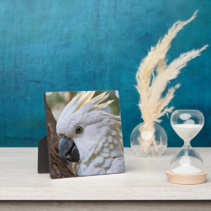 Elegance in White: The Majestic Aussie Cockatoo Plaque