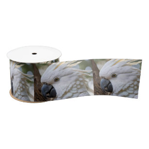 Elegance in White: The Majestic Aussie Cockatoo Satin Ribbon