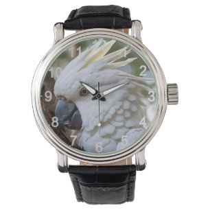 Elegance in White: The Majestic Aussie Cockatoo Watch
