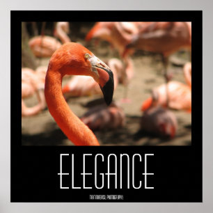 Elegance Poster! Poster