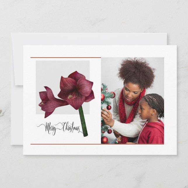 Elegant 1 Photo with Amaryllis Flower,  Christmas Holiday Card (Front)