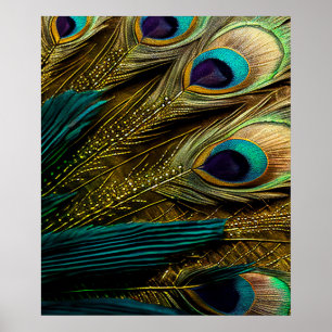 Elegant Abstract Teal Blue Gold Peacock Feathers Poster