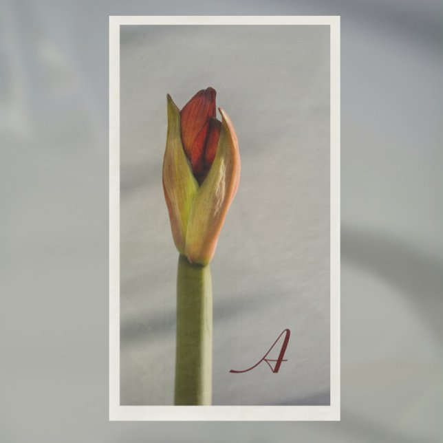 Elegant Amaryllis Bud Minimalist Napkin (Creator Uploaded)
