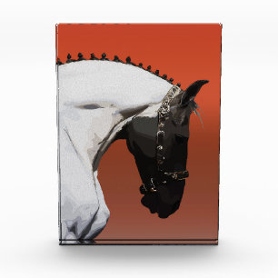 Elegant Andalusian Horse – Majestic Equestrian Art Photo Block