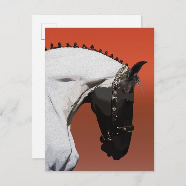 Elegant Andalusian Horse – Majestic Equestrian Art Postcard (Front/Back)