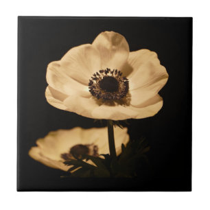 Elegant Anemone Flower Black Ceramic Tile