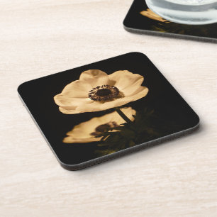 Elegant Anemone Flowers Photo Coaster