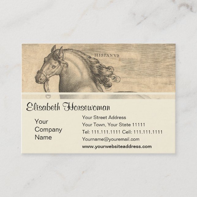 Elegant Antique Engraving of Spanish Horse Business Card (Front)