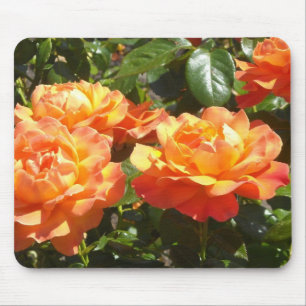 Elegant Apricot Roses Mouse Pad