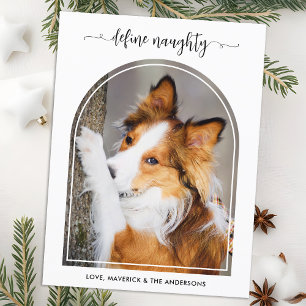 Elegant Arch Define Naughty Christmas Pet Photo Holiday Postcard
