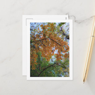Elegant Autumn Holiday Postcard