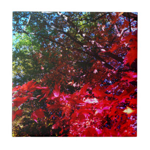 Elegant Autumn trees red pink leaves Tile