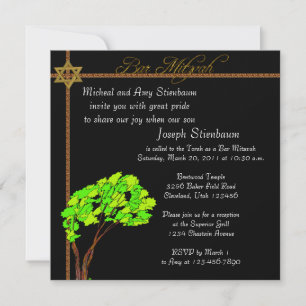 Elegant Bar Mitzvah Invitation