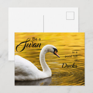 Elegant Be a Swan Typography Inspirational Postcard