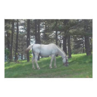 Elegant Beautiful White Horse Original Art