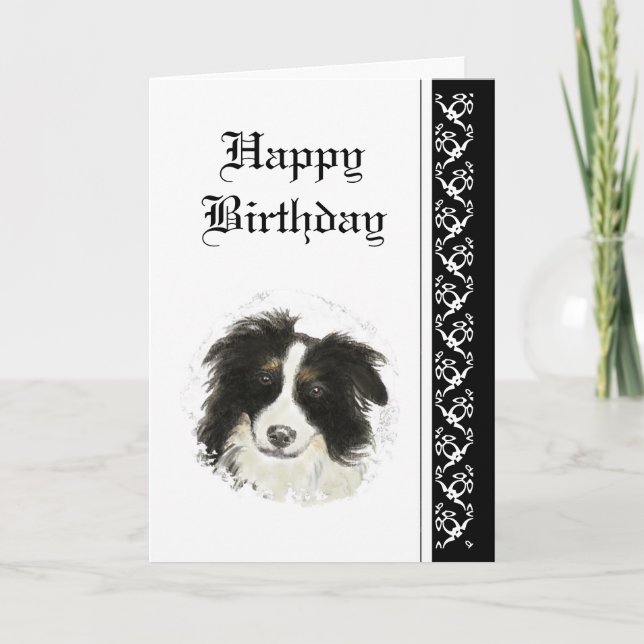 Elegant  Birthday, Border Collie Dog Pet Card (Front)