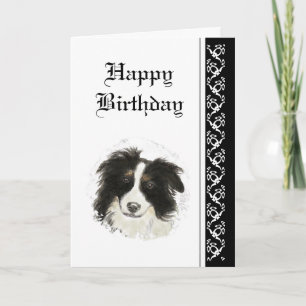 Elegant  Birthday, Border Collie Dog Pet Card