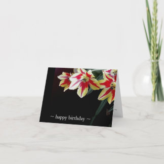 Elegant Birthday Cards- Red & Yellow Tulips Card