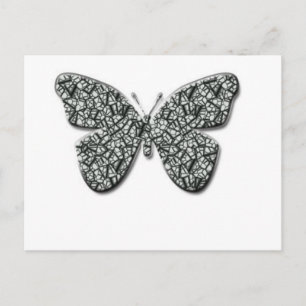 Elegant Black And White Butterfly Postcard