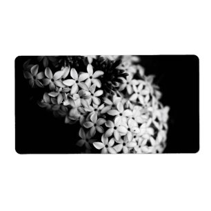 Elegant Black and White Floral photo