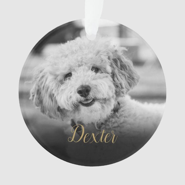 Elegant Black and White Pet Photo Memorial Ornament (Front)