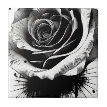 Elegant Black And White Rose